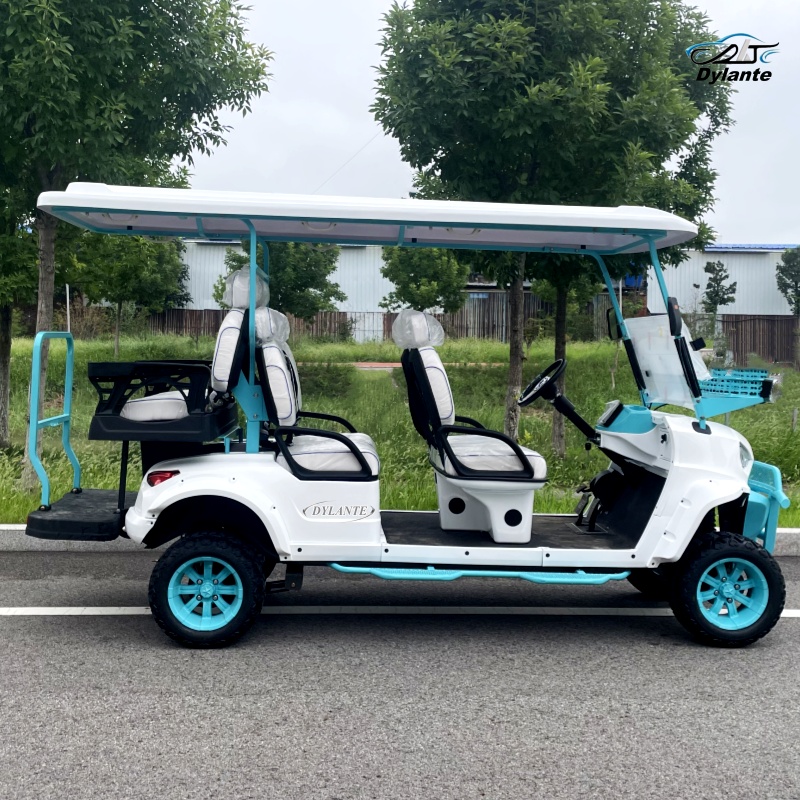 2026 New 4+2 Seater Lithium Ba - Outdoor Hunting Vehicle recensie en prijs