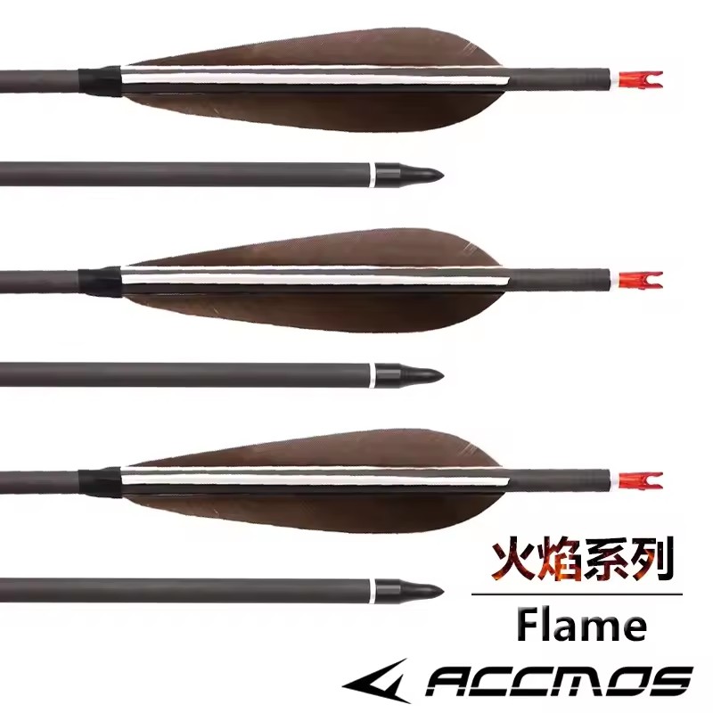 ACCMOS 33inch Pure Carbon Arro - Hunting Bow Compound recensie en prijs