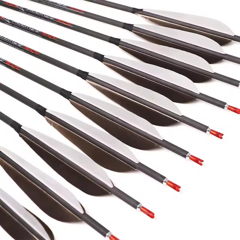 ACCMOS 33inch Pure Carbon Arro - Hunting Bow Compound recensie en prijs